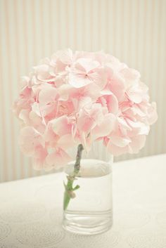 a pink flower in a glass vase on top of a table with the caption instagram