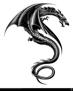 a black and white drawing of a dragon