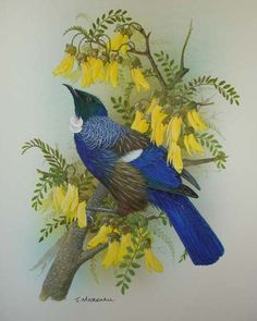 a blue bird sitting on top of a tree branch with yellow flowers in the background