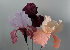 three different colored flowers in a glass vase