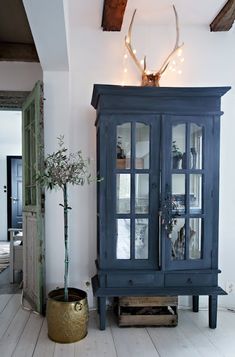 a blue china cabinet with glass doors in a living room next to a potted plant