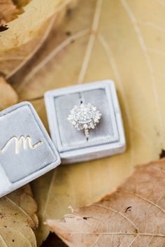 an engagement ring sits in a velvet box on top of the ground next to leaves