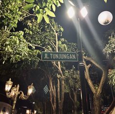 a street sign is lit up at night in front of some trees and lights on the sidewalk