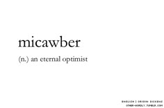 the words micawber and an external optimist written in black on a white background