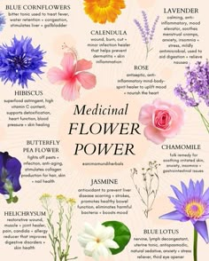 flowers that are labeled in different colors and sizes, with the words medical flower power written below