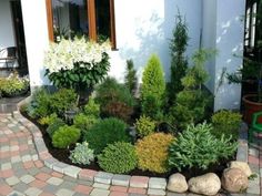 a small garden with rocks and plants in the front yard, next to a house