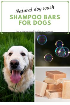 natural dog wash shampoo bars for dogs