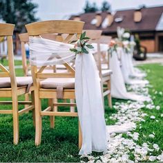 a row of wooden chairs sitting on top of a lush green field covered in white flowers