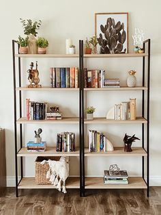 the bookshelves are filled with many different types of books and plants on them