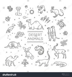 desert animals and cactuses arranged in a circle with the words desert animals on it