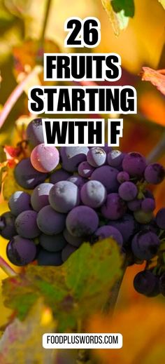 grapes growing on the vine with text overlay that reads 26 fruits starting with f