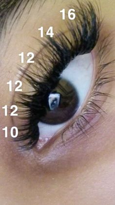 Volume Individual Lashes, Dramatic Classic Eyelash Extensions, Whispy Lashes Mapping, Lash Map Natural Eye, B&q Lash Map Clusters, Lash Extension Length Guide, Best Lash Clusters On Amazon, Eyelash Extensions Cluster, Individual Lash Clusters