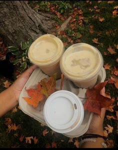 two cups of coffee sitting on top of a tray next to leaves and a tree