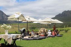 people are sitting under umbrellas on the grass in front of some hills and mountains