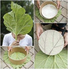 four pictures showing different stages of making a plant