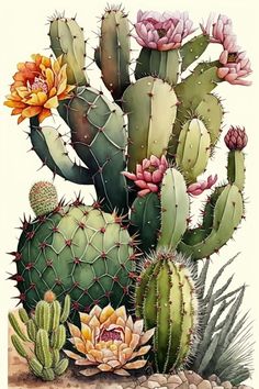 a painting of cactuses and succulents on a white background