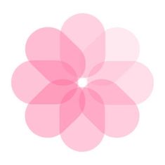 a pink flower on a white background