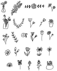 flowers and plants drawn in black ink on white paper, with arrows pointing up to the left