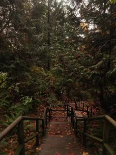 a wooden bridge in the middle of a forest with lots of trees and leaves on it