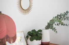 three potted plants sit on a wooden table in front of a white wall with a circular mirror