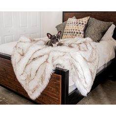 a small dog laying on top of a bed covered in a white fur throw blanket