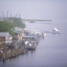 boats are docked in the water near houses