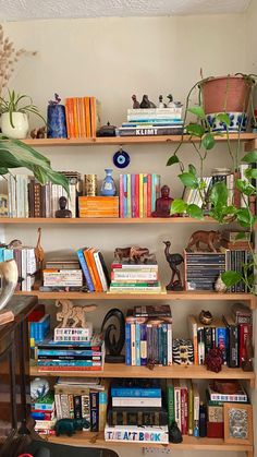 a bookshelf filled with lots of books and plants