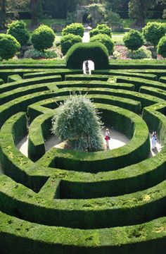 a large circular hedge maze in the middle of a park