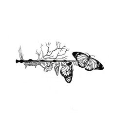 two butterflies on a branch with leaves