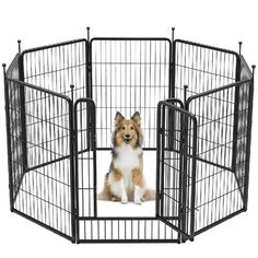 a dog is sitting in an exercise pen