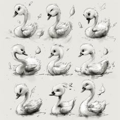 several drawings of ducks in different positions and sizes, including one with its head turned to the side