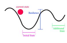 an image of a curve with the words resilince and additional state