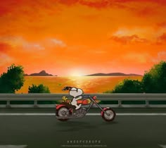 a painting of a dog on a motorcycle with the sun setting in the distance behind it