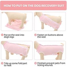 how to put on the dog recovery suit