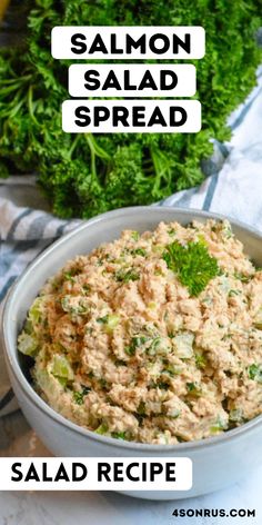 salmon salad spread in a bowl with parsley on the side and text overlay