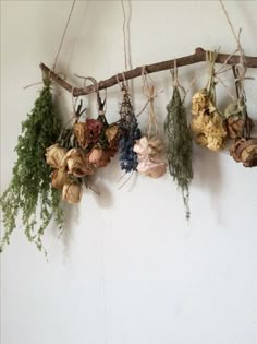 several dried flowers hanging from a branch on the wall