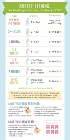 an info sheet with instructions for how to use the baby's diaper and bottle feeding