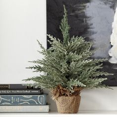 a potted plant sitting on top of a white shelf next to books and a painting