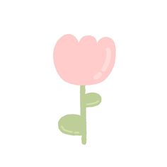 a single pink flower on a white background