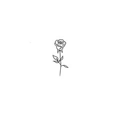 a drawing of a single rose on a white background