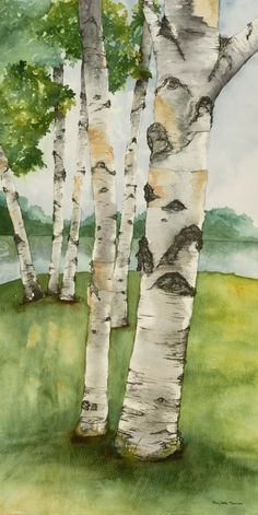 watercolor painting of three birch trees in the grass