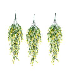 three green and yellow flowers hanging from the ceiling