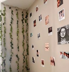 the wall is covered with many pictures and greenery hanging from it's sides