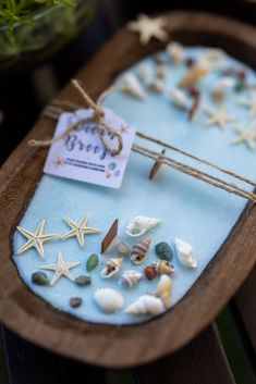 sea shells and starfish are on display in a wooden tray with a price tag