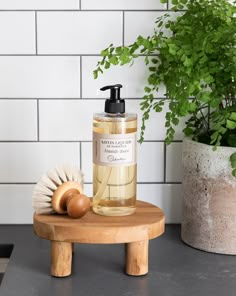 a bottle of liquid sitting on top of a wooden stool next to a potted plant