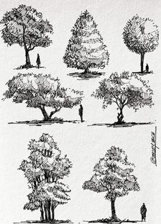 sketches of trees and people walking in the park