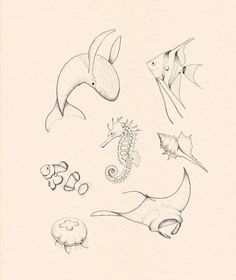 an image of sea animals drawn in pencil