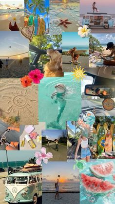 a collage of photos with people and animals in the water, including an old vw bus