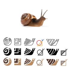 snail logo улитка лого графический дизайн Snail Aesthetic, Inspiration Typographie, Desain Buklet, Grafic Design