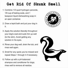 the instructions for how to get rid of stink smell